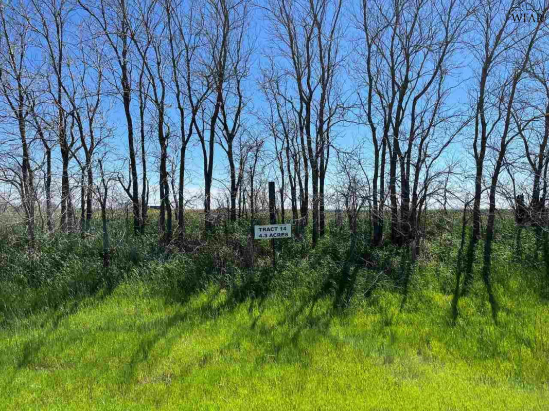 LOT 14 FM 1177, THORNBERRY, TX 76305, photo 1 of 30